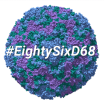 EightySixD68